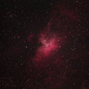 M16 mit DSLR