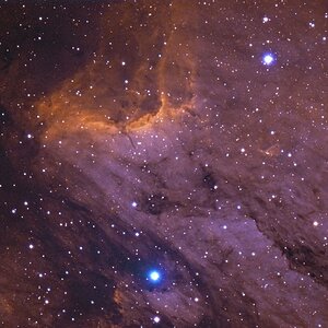 IC 5070 (Pelicannebula) in Bicolor