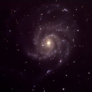 Feuerrad in Sommernacht