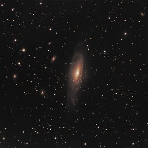 NGC 7331 und Hintergrundgalaxien