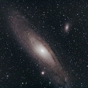 Andromeda