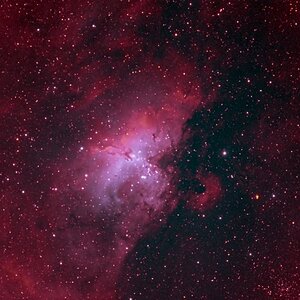 M16 Adlernebel in bicolor