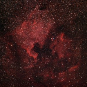 NGC7000
