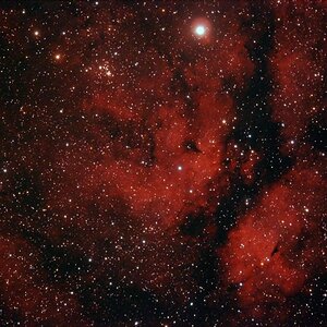 Butterfly Nebula