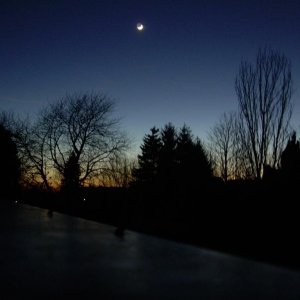 Winter Sichel