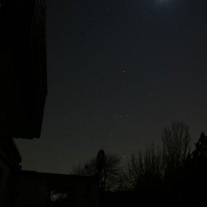 Orion