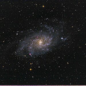 Schnelle M33