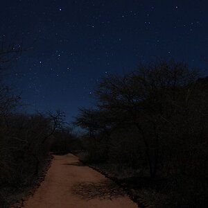 Waterbergmassiv (Namibia) im Mondlicht mit Sternen