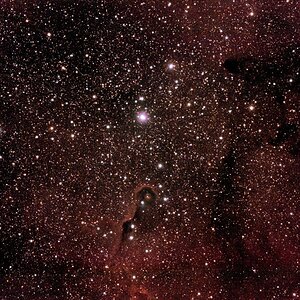 IC1396