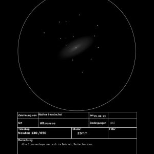 Andrometa M310001.jpg