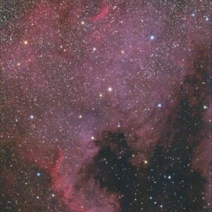 NGC7000