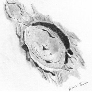 Taruntius
