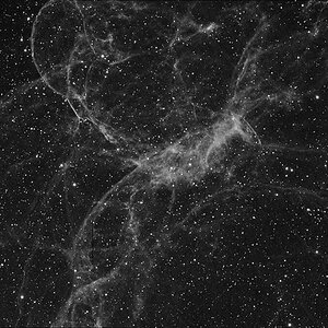 Spider in Simeis 147 (SH2-240)