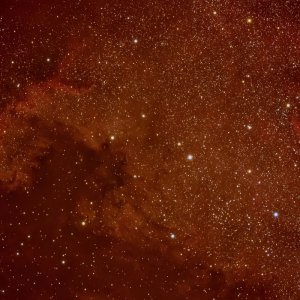NGC7000-600Da-Final.jpg