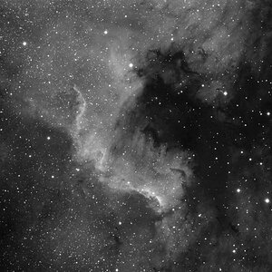 NGC7000 Ha