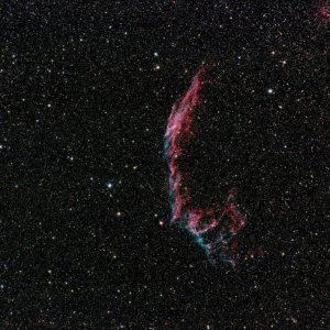 NGC 6995 ED81S 2.jpg