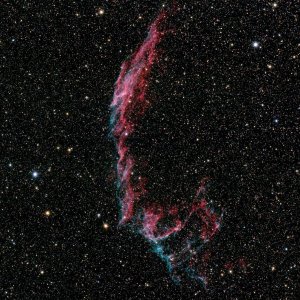 NGC6995 Crop.jpg