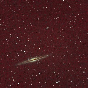 NGC891 Zum ersten Mal Langzeitbelelichtungen
