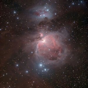 M42