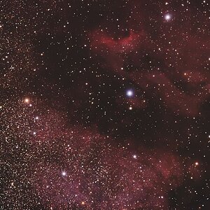NGC7000,Pelikannebel