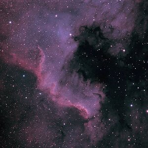 NGC7000 in bicolor