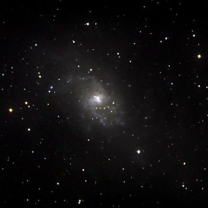 M33
