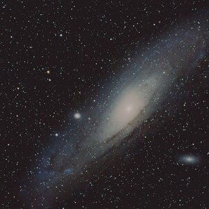 M31