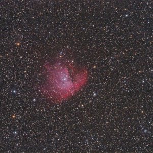 NGC 281 Pacman DSLR