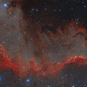 NGC7000.Final.Farbe.kl.jpg