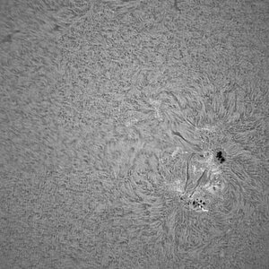 Sonnenfleck 1890 im Halpha - licht 09 11 13 i.jpg