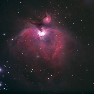 Orion M42 am 11. Nov. 13