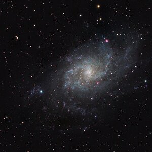 M33 am Südleipziger Himmel