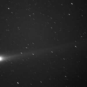 lovejoy261113d_filteredPSklein.jpg