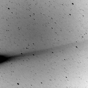 lovejoy261113d_filteredPSngklein.jpg