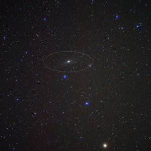 Andromeda