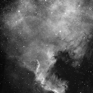 NGC7000_480-80_Ha_9x600_Atik383L_klein.jpg