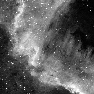 NGC7000_480-80_Ha_9x600_Atik383L_Ausschnitt.jpg