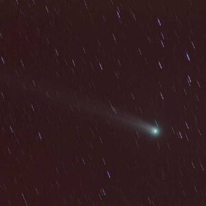 Lovejoy am 3.12.2013