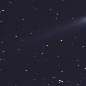 Lovejoy am 16.12