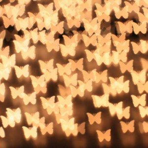 Schmetterling Bokeh.jpg