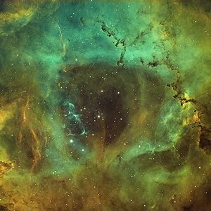 Co-Op NGC 2244