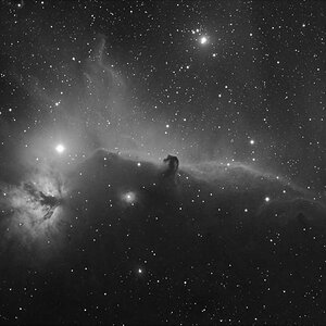 Pferdekopf Nebula in Ha aus Stuttgart