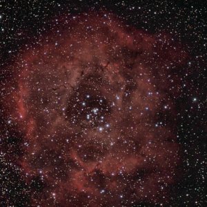 NGC 2239_002.jpg