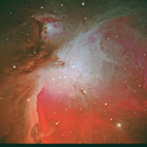 Orion