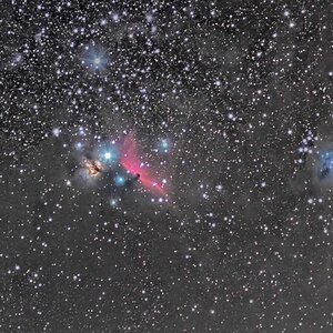Orion 135mm kombiniert mit Daten vom 6"F5 Newton