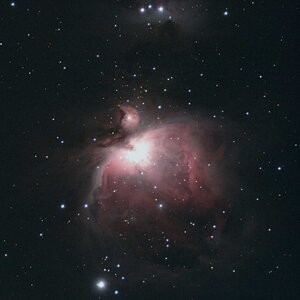 Orionnebel