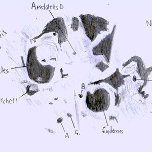 7.1.2014: Aristoteles und Eudoxus