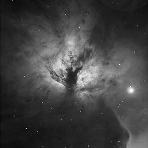 NGC 2024 - Flammennebel
