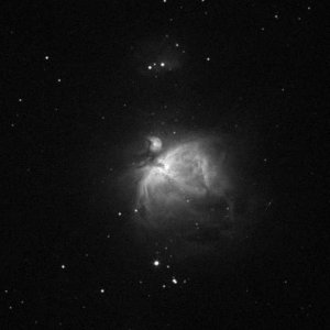 M42-Cropp-1.jpg