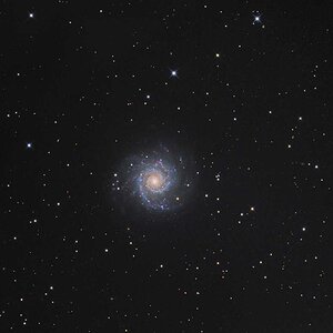 M74